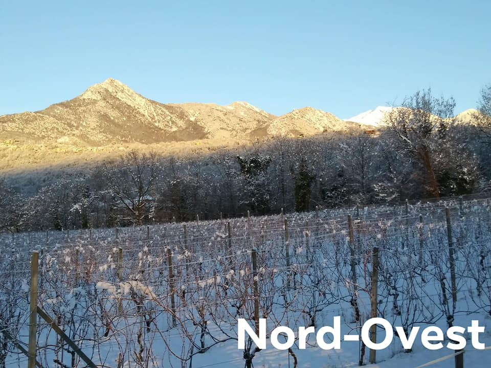 Panorami invernali dagli olivi e dalle vigne (Almese)